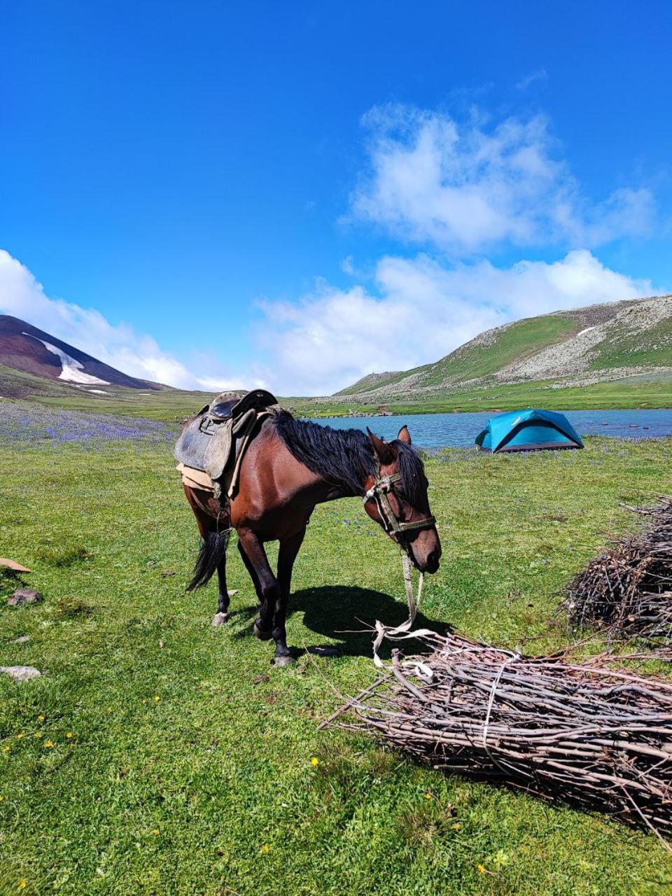 Highland Hostel Yerevan Luaran gambar